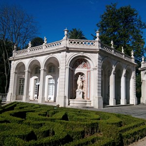 Oficina «No bosque dos passarinhos». Viveiro de aves exóticas onde decorre a atividade.