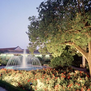 Jardim das Tileiras.