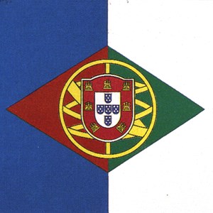 Proposta de bandeira nacional - Duarte Alves Leal.