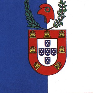 Proposta de bandeira nacional - Albano Ferreira