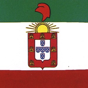 Proposta de bandeira nacional.