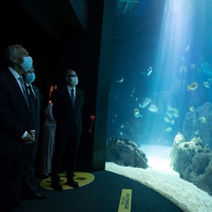 O Presidente Marcelo Rebelo de Sousa, o primeiro da esquerda, no Oceanário de Lisboa, por ocasião dos 22 anos da sua inauguração.