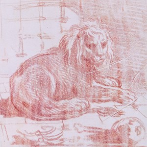 Desenho a sanguínea de autoria de Vieira Lusitano.
O pintor da Casa Real terá sido uma das pessoas a admirar os animais exóticos do Palácio de Belém, nunca antes vistos pelos habitantes de Lisboa. É, pois, provável, que este leão fosse um dos habitantes das jaulas do Pátio dos Bichos.