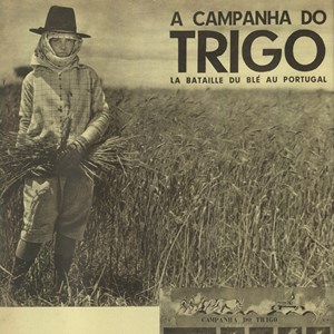 Composição gráfica sobre a «campanha do trigo» inserida no álbum álbum «Portugal 1934».