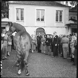 No Palácio de Belém, o Presidente Craveiro Lopes oferece um cavalo Puro Sangue Lusitano, de nome Bussaco, à Rainha Isabel II.