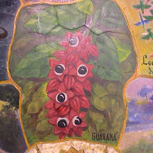 Pormenor da carapaça de tartaruga: o guaraná, por Branco Silva.
