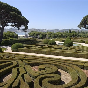 Jardim do Buxo ou Jardim Grande do Palácio de Belém, onde a família real residiu em tendas durante os meses que se seguiram ao terramoto de 1755.